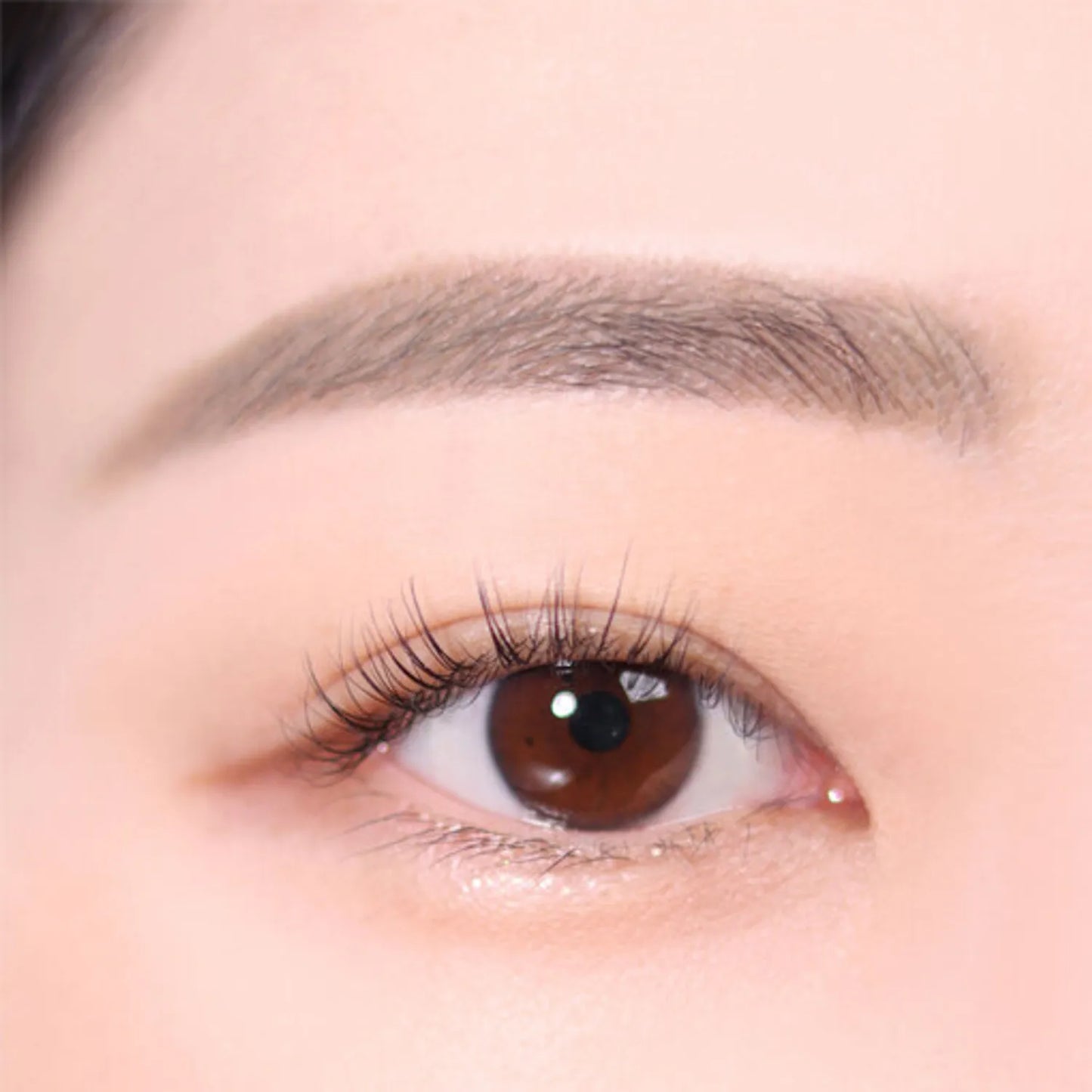 ES.  THE BROW BALANCE PENCIL #6 LIGHT TAUPE