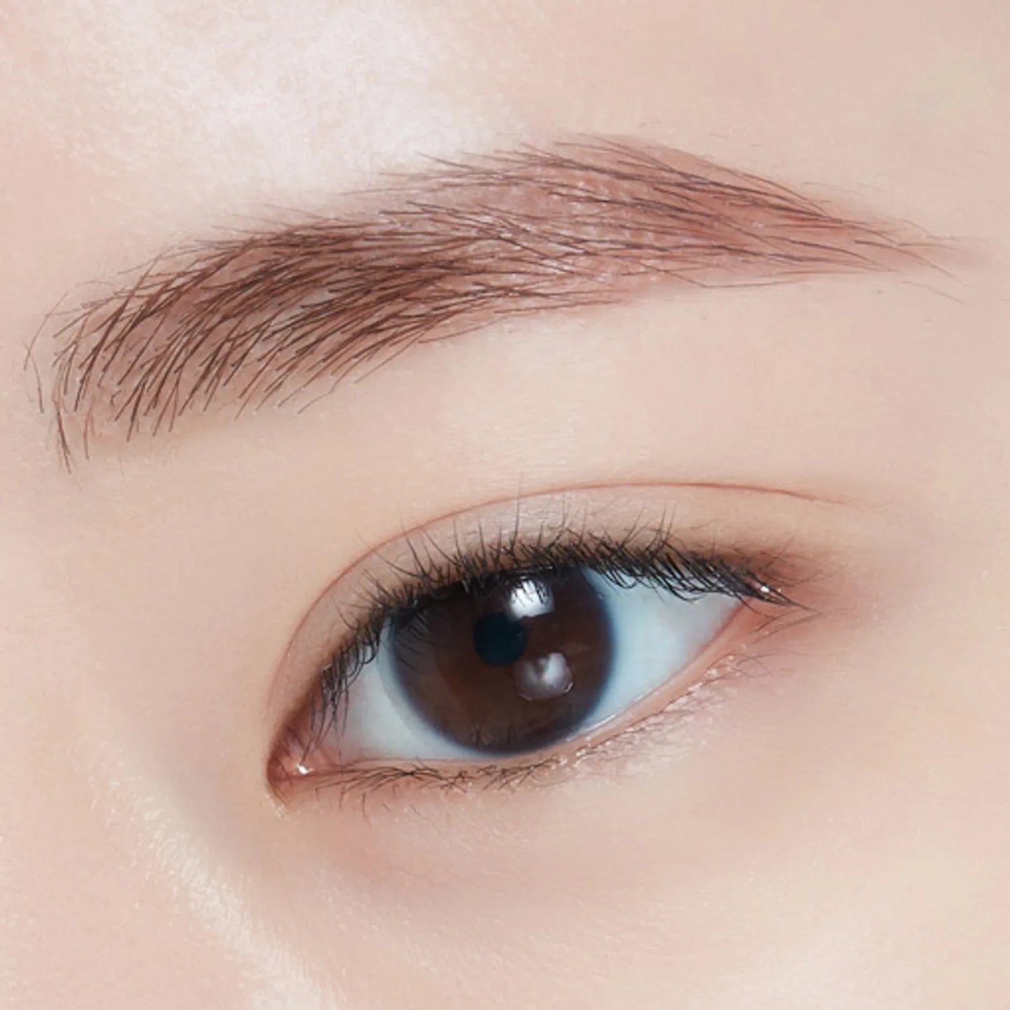 ET.(MBS)Bare Edge Slim brow 02(23)