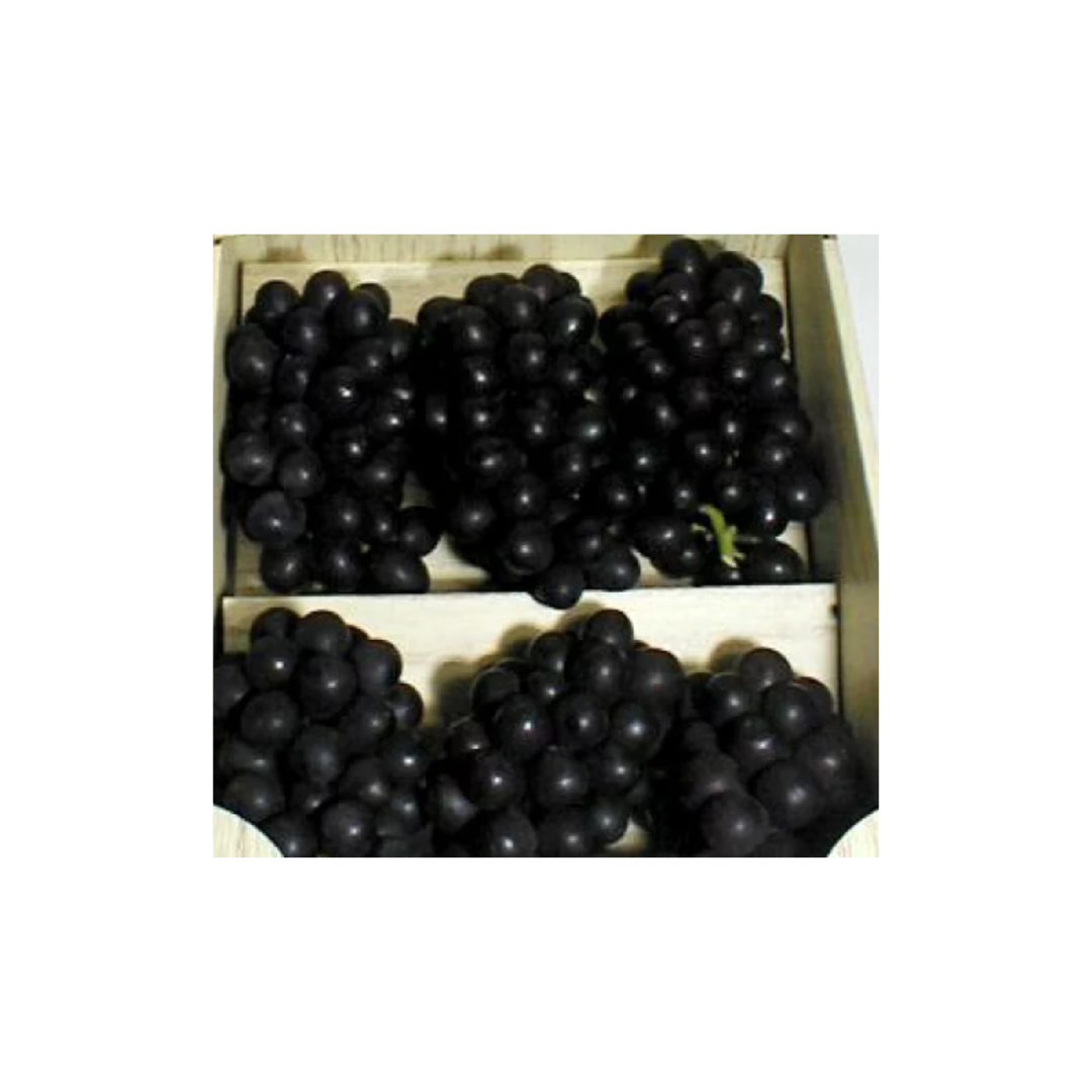 山梨 國王特拉華葡萄 秀 禮盒裝 Yamanashi King Delaware Grape SHU Grade Gift Box