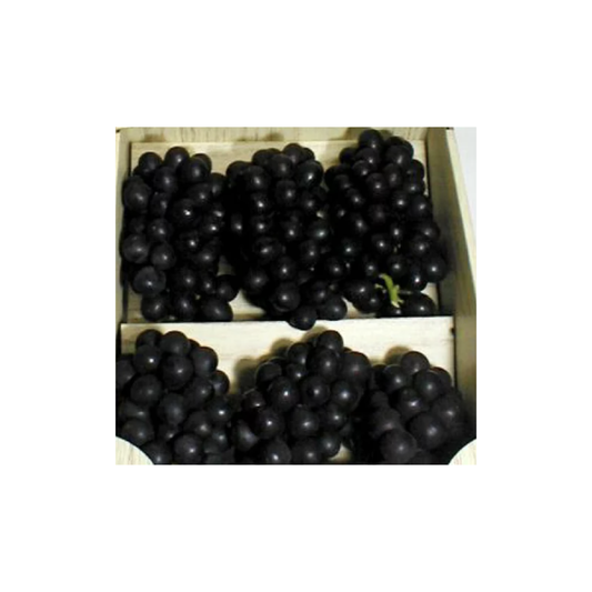 山梨 國王特拉華葡萄 秀 禮盒裝 Yamanashi King Delaware Grape SHU Grade Gift Box