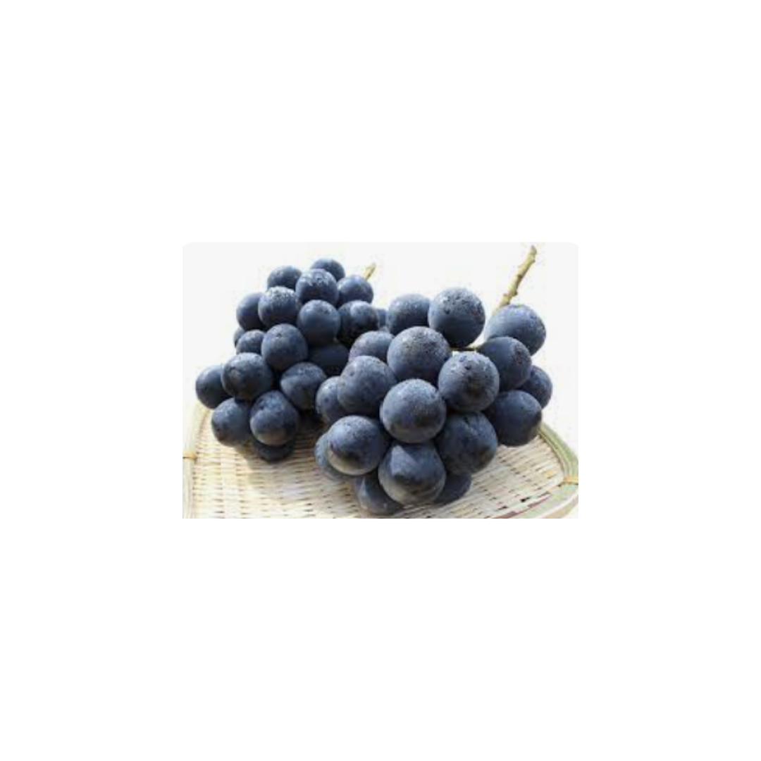 岡山 無核 Pione葡萄 秀 Okayama Seedless Pione Grape SHU Grade