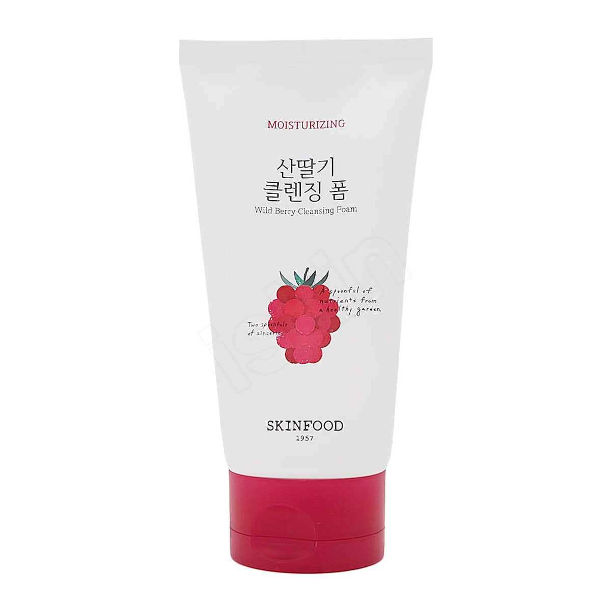 VEGE GARDEN CLEANSING FOAM WILD BERRY