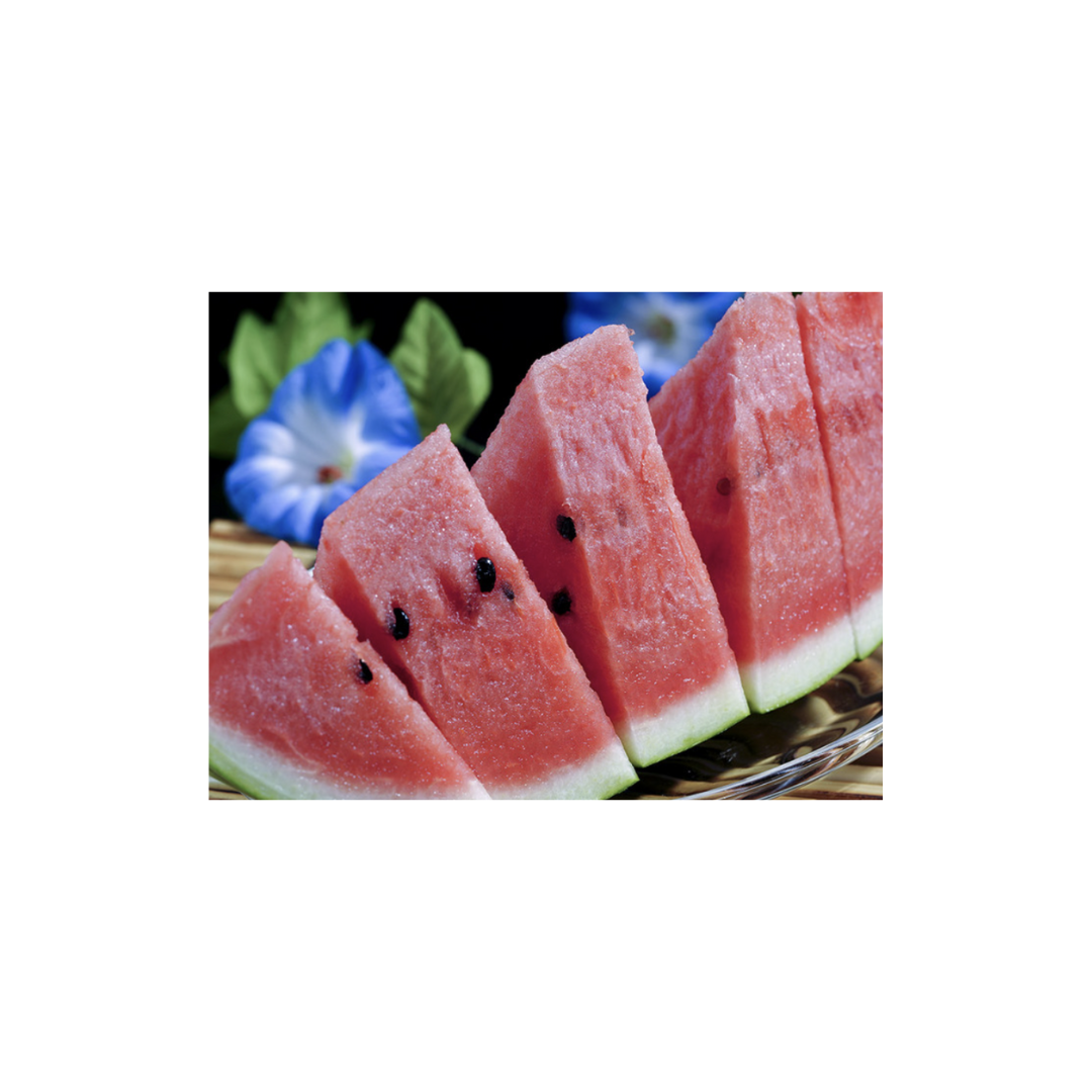 鳥取 西瓜 秀L Tottori Watermelon (SHU Grade) L Size